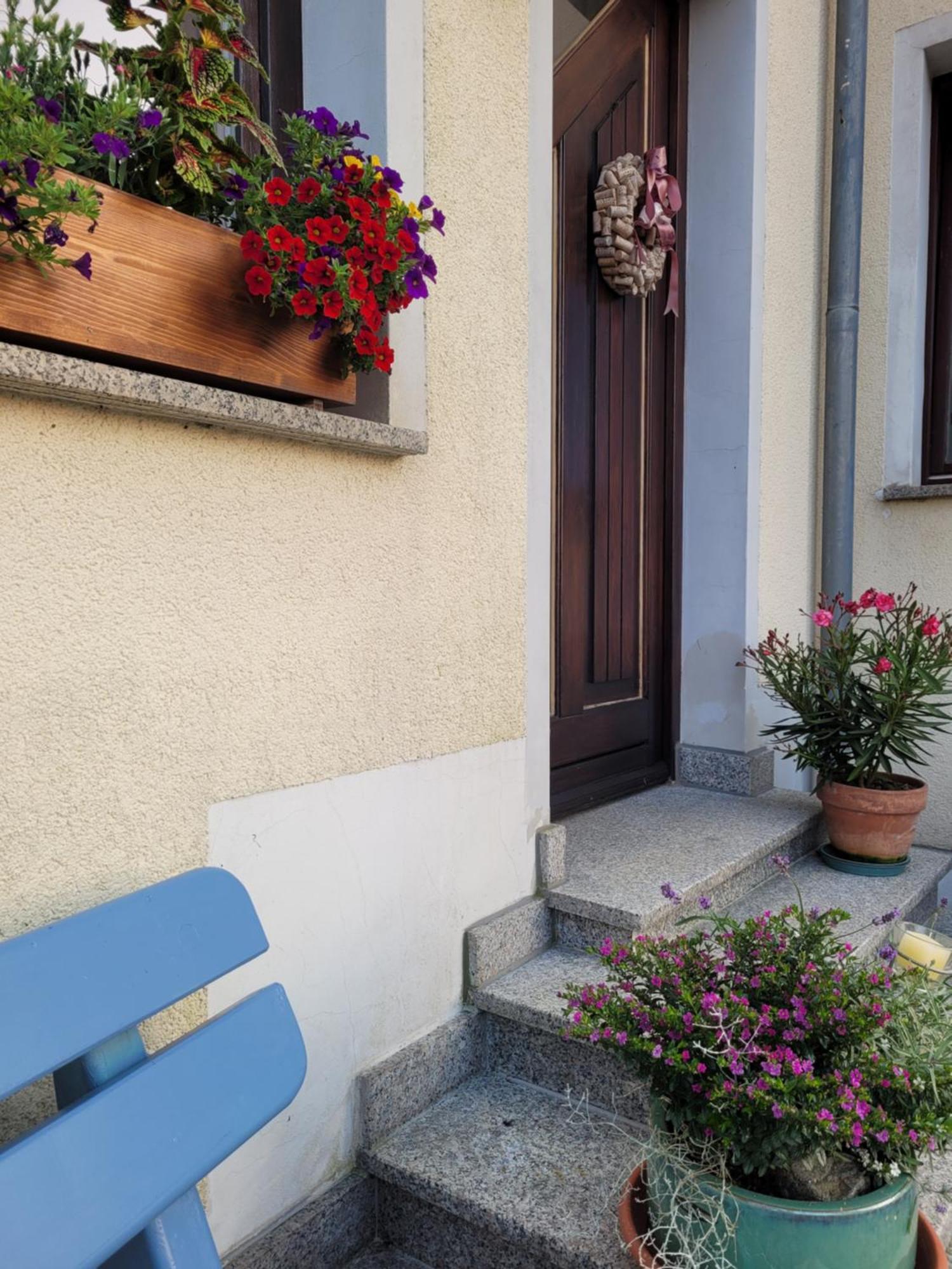 Fewo Weitblick In Hoehenlage Von グライツ エクステリア 写真